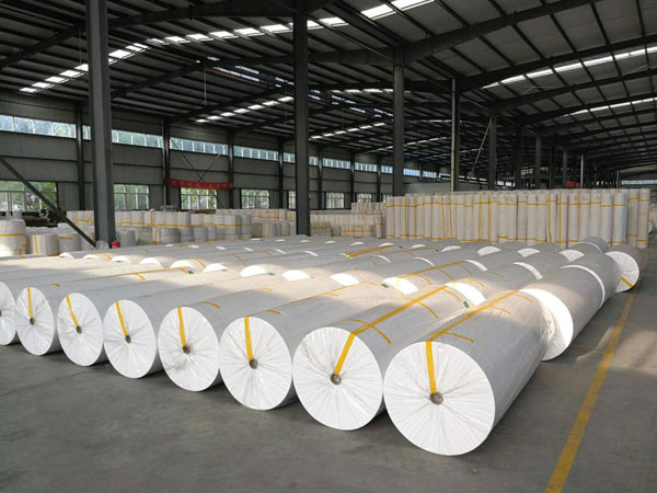 重庆狭缝式涤纶纺粘无纺布